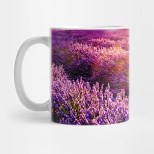 Purple Lavender Mug